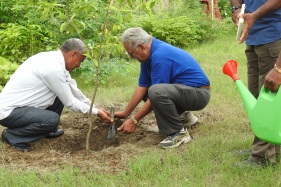 Prof Jatin Bhatt, Vice Chancellor, AUD planting sapling of Elaeocarpus ganitrus (Rudraksh).