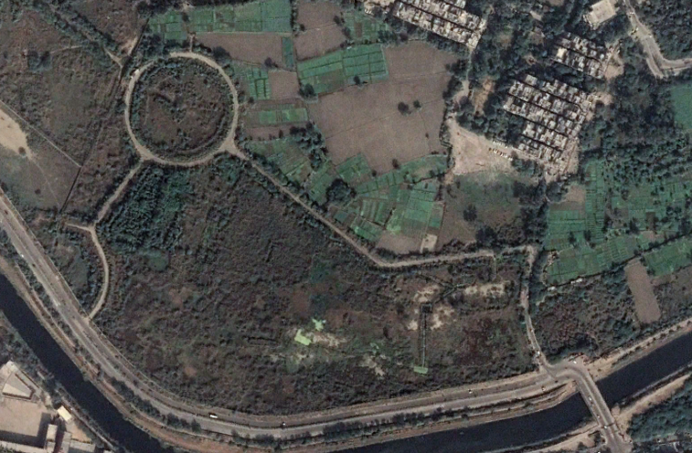 Analyzing Vegetation Cover Change in Dheerpur Wetland Restoration Site